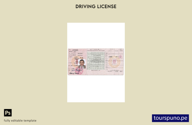 Plantilla de licencia de conducir de Guinea lista para imprimir